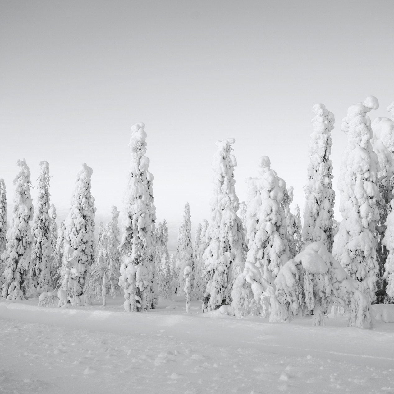 Powered by
Arctic ingredients